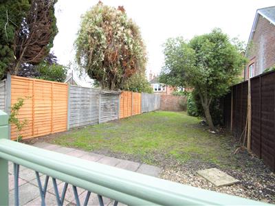 Picture 8